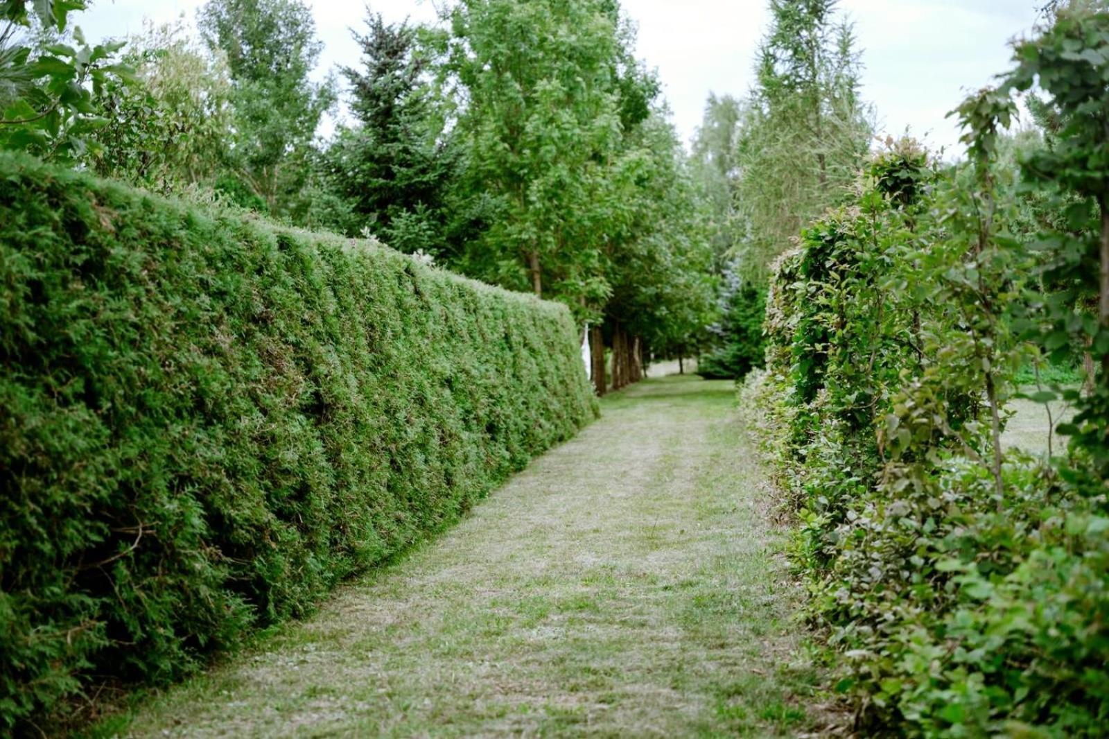 Zielona Parcela Pisz Exteriör bild
