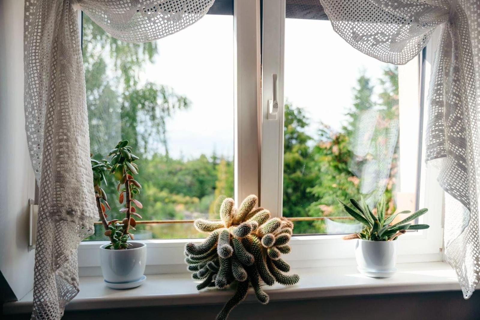 Zielona Parcela Pisz Exteriör bild
